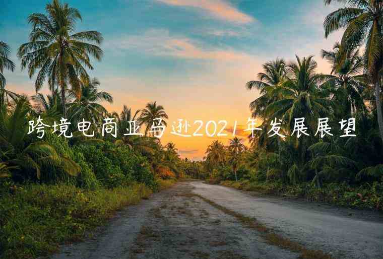 跨境電商亞馬遜2023年發(fā)展展望